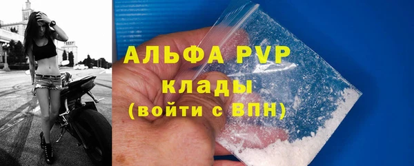 стафф Протвино