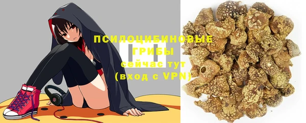 spice Аркадак